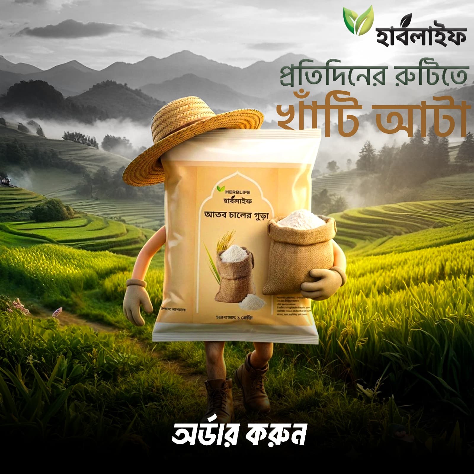 Rice Flour